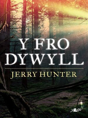 cover image of Y Fro Dywyll